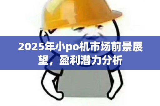 2025年小po机市场前景展望，盈利潜力分析