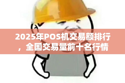 2025年POS机交易额排行，全国交易量前十名行情