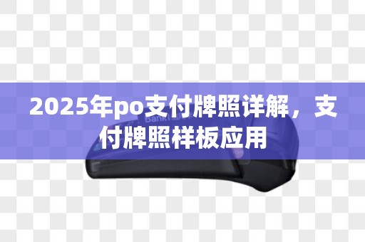 2025年po支付牌照详解，支付牌照样板应用