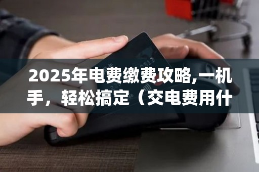 2025年电费缴费攻略,一机手，轻松搞定（交电费用什么po机）