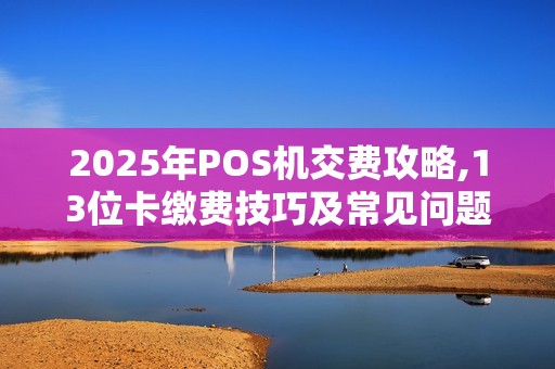 2025年POS机交费攻略,13位卡缴费技巧及常见问题解答
