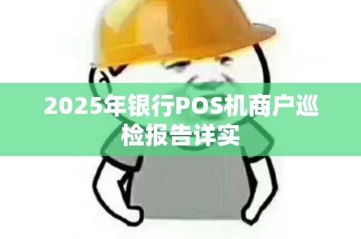 2025年银行POS机商户巡检报告详实