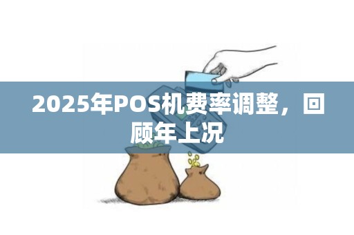 2025年POS机费率调整，回顾年上况