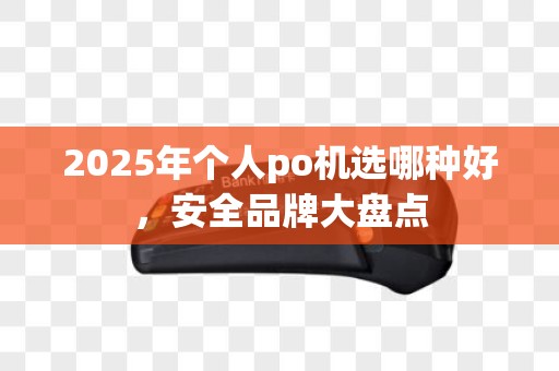 2025年个人po机选哪种好，安全品牌大盘点
