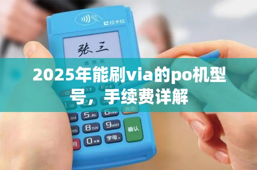 2025年能刷via的po机型号，手续费详解