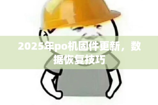 2025年po机固件更新，数据恢复技巧
