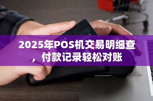 2025年POS机交易明细查，付款记录轻松对账