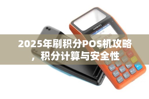 2025年刷积分POS机攻略，积分计算与安全性