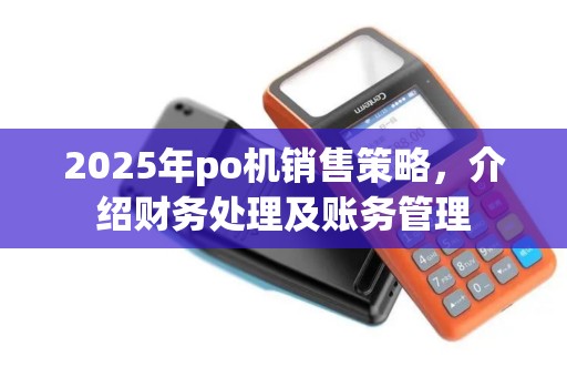 2025年po机销售策略，介绍财务处理及账务管理
