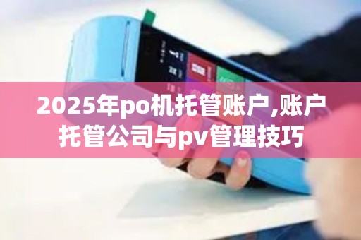 2025年po机托管账户,账户托管公司与pv管理技巧