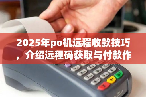 2025年po机远程收款技巧，介绍远程码获取与付款作