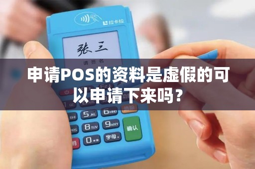 申请POS的资料是虚假的可以申请下来吗？