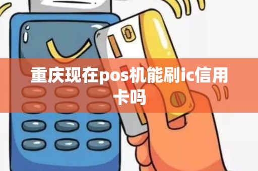 重庆现在pos机能刷ic信用卡吗