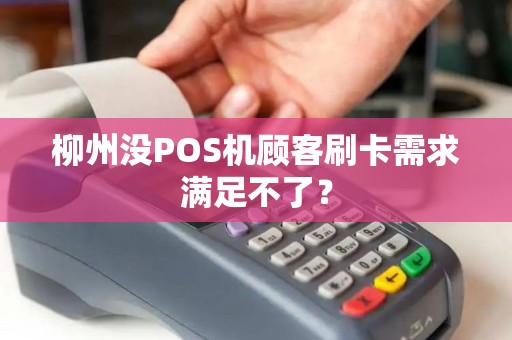 柳州没POS机顾客刷卡需求满足不了？