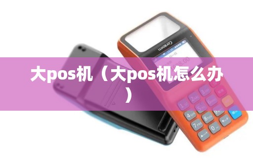 大pos机（大pos机怎么办）
