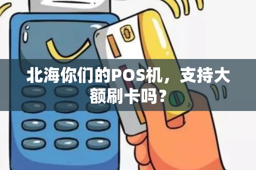 北海你们的POS机，支持大额刷卡吗？