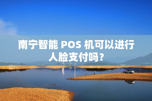 南宁智能 POS 机可以进行人脸支付吗？