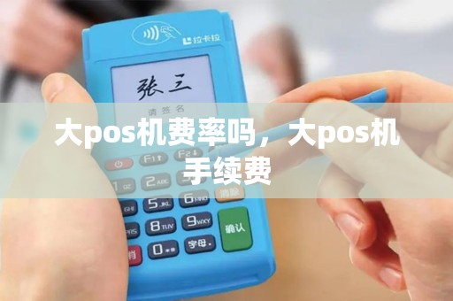 大pos机费率吗，大pos机手续费