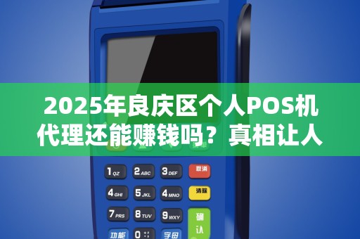 2025年良庆区个人POS机代理还能赚钱吗？真相让人意外！