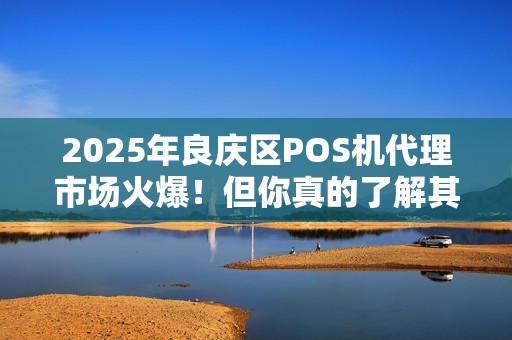 2025年良庆区POS机代理市场火爆！但你真的了解其中的风险与机遇吗？