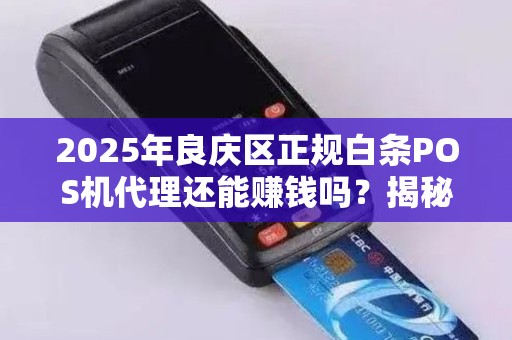 2025年良庆区正规白条POS机代理还能赚钱吗？揭秘行业现状与未来趋势！