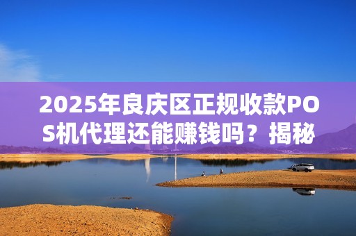 2025年良庆区正规收款POS机代理还能赚钱吗？揭秘行业现状与未来趋势！