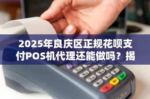 2025年良庆区正规花呗支付POS机代理还能做吗？揭秘行业真相与赚钱秘诀！
