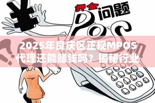 2025年良庆区正规MPOS代理还能赚钱吗？揭秘行业现状与未来趋势！