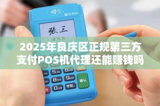2025年良庆区正规第三方支付POS机代理还能赚钱吗？揭秘行业现状与未来趋势！