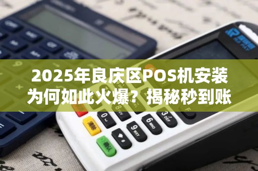 2025年良庆区POS机安装为何如此火爆？揭秘秒到账背后的真相！