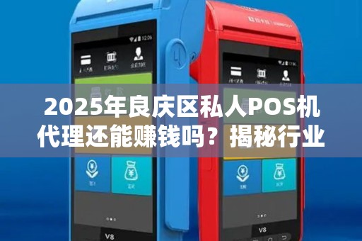 2025年良庆区私人POS机代理还能赚钱吗？揭秘行业新机遇与陷阱！