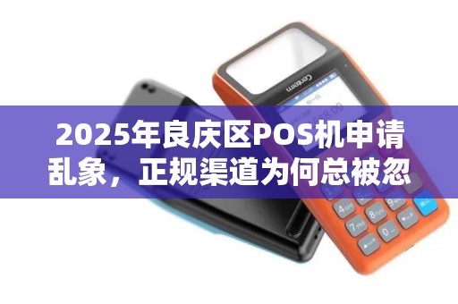 2025年良庆区POS机申请乱象，正规渠道为何总被忽略？