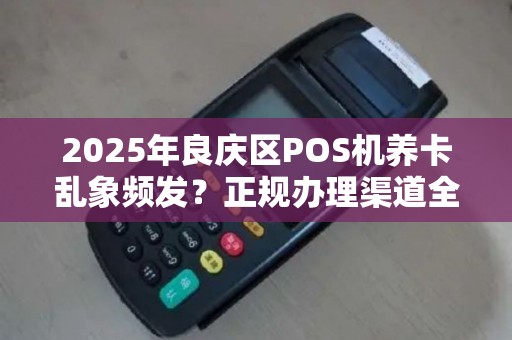 2025年良庆区POS机养卡乱象频发？正规办理渠道全揭秘！
