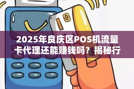 2025年良庆区POS机流量卡代理还能赚钱吗？揭秘行业现状与未来趋势！