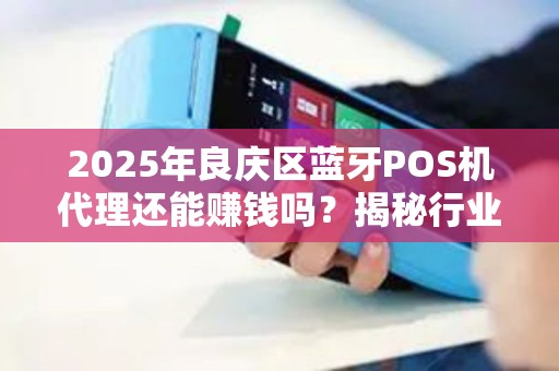 2025年良庆区蓝牙POS机代理还能赚钱吗？揭秘行业真相与盈利秘诀！