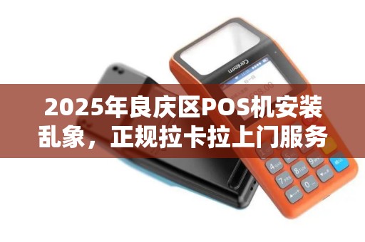 2025年良庆区POS机安装乱象，正规拉卡拉上门服务真的靠谱吗？