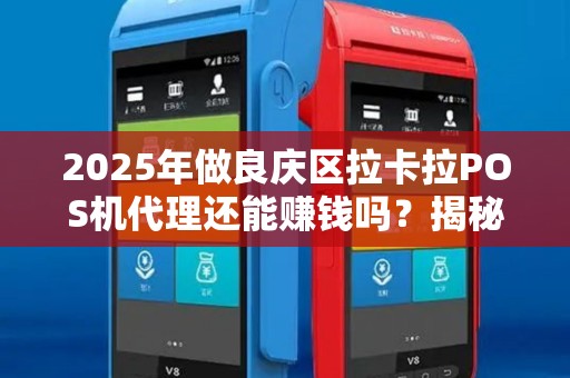 2025年做良庆区拉卡拉POS机代理还能赚钱吗？揭秘行业内幕！