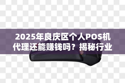 2025年良庆区个人POS机代理还能赚钱吗？揭秘行业真相！