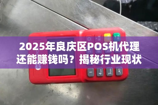 2025年良庆区POS机代理还能赚钱吗？揭秘行业现状与突围策略！