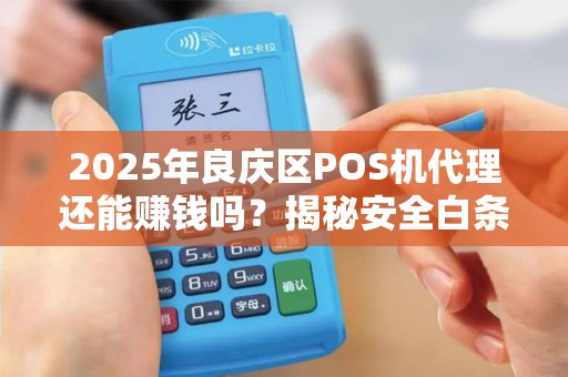 2025年良庆区POS机代理还能赚钱吗？揭秘安全白条背后的商机与风险！