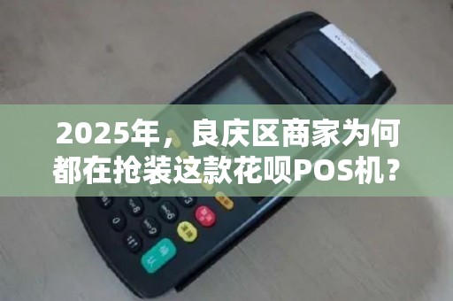 2025年，良庆区商家为何都在抢装这款花呗POS机？上门安装背后藏着什么秘密？