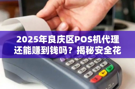 2025年良庆区POS机代理还能赚到钱吗？揭秘安全花呗支付背后的商机！