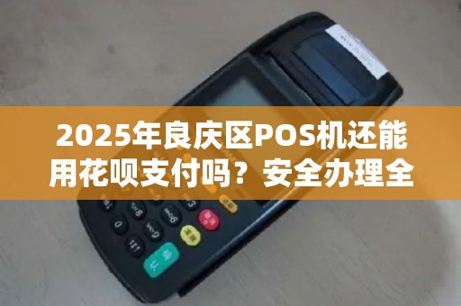 2025年良庆区POS机还能用花呗支付吗？安全办理全攻略！