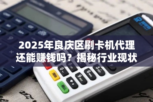 2025年良庆区刷卡机代理还能赚钱吗？揭秘行业现状与未来趋势