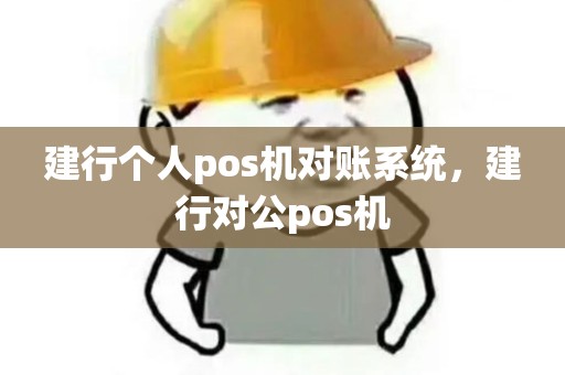 建行个人pos机对账系统，建行对公pos机