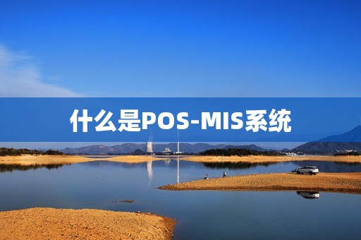 什么是POS-MIS系统