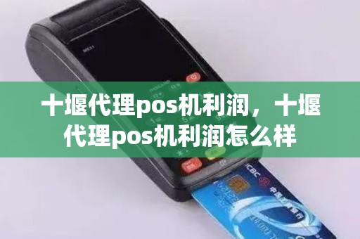 十堰代理pos机利润，十堰代理pos机利润怎么样