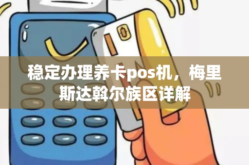 稳定办理养卡pos机，梅里斯达斡尔族区详解