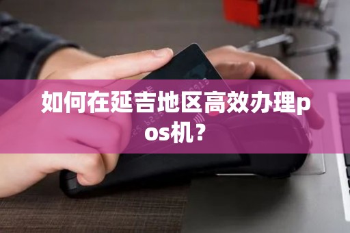 如何在延吉地区高效办理pos机？