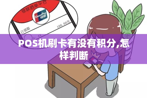 POS机刷卡有没有积分,怎样判断